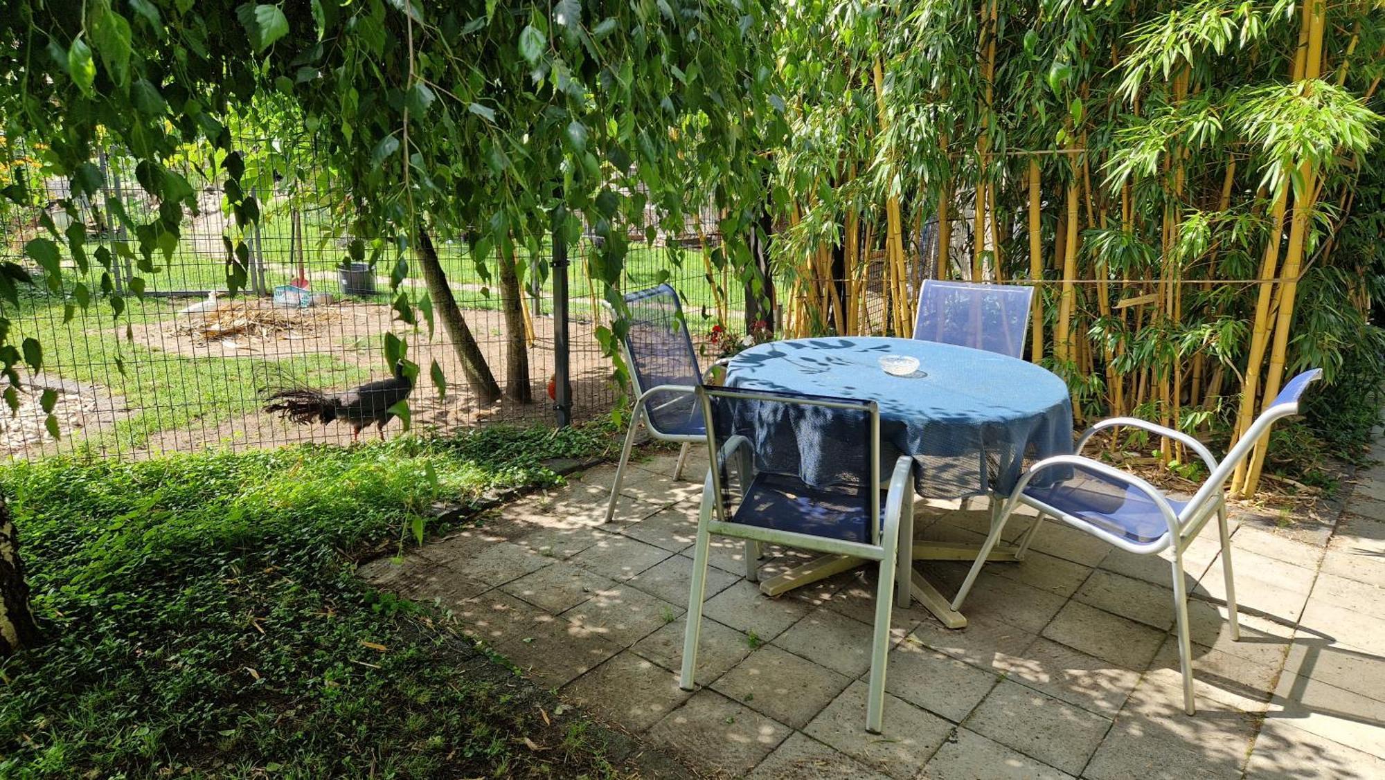 Yourhome-Pm Michendorf Ngoại thất bức ảnh
